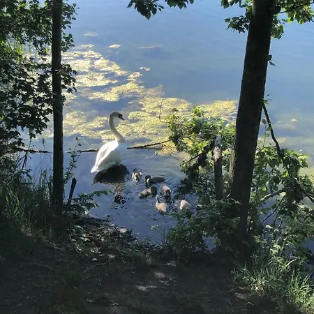 豪斯比尔克膳食公寓酒店 *